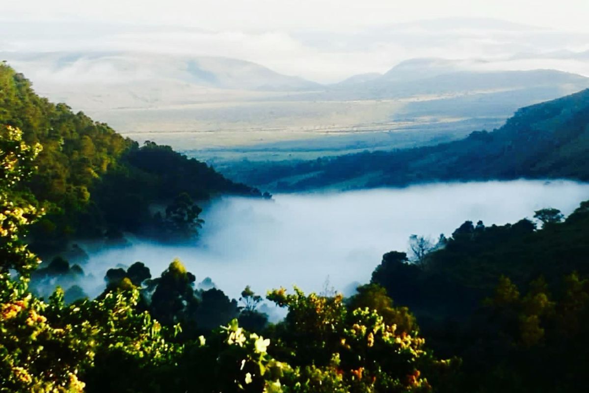 Farm for sale in Louwsburg - Photo 2