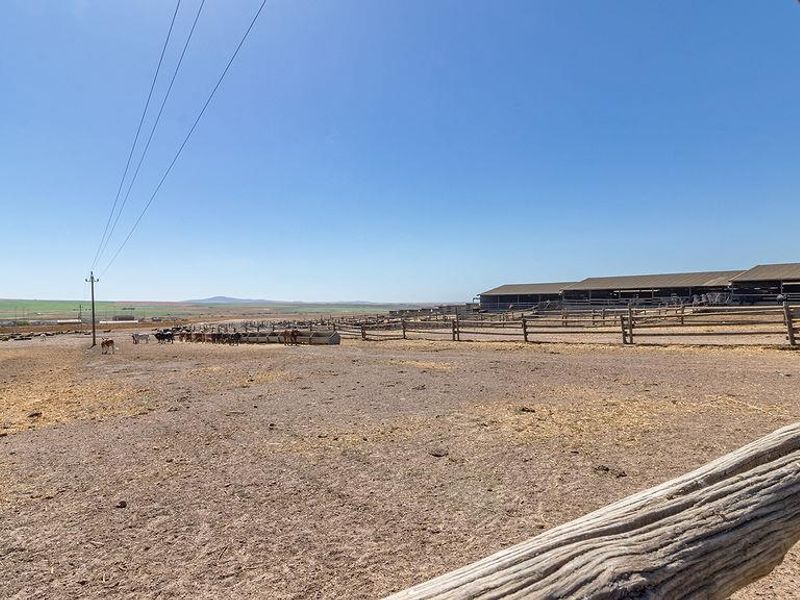 Prime land for rezoning and development by the new airport - Photo 5