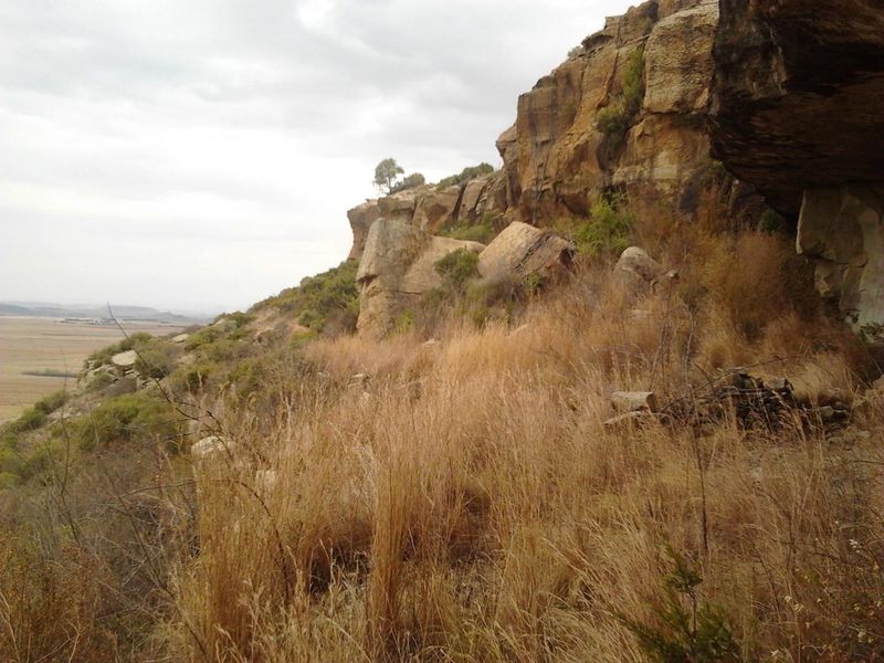 Unmatched Opportunity: Farm & Bottling Biz in One - Photo 9