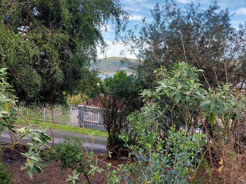 Vacant Land in Paradise - Photo 8