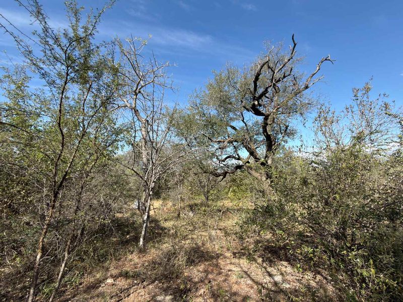 Beautiful Bushveld Views in Elephant Rock Eco Estate - Photo 9