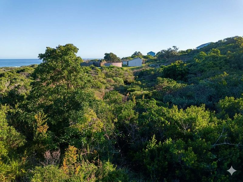 An aerial view of a vacant residential plot featuring dense coastal vegetation and natural terrain with distant ocean views.