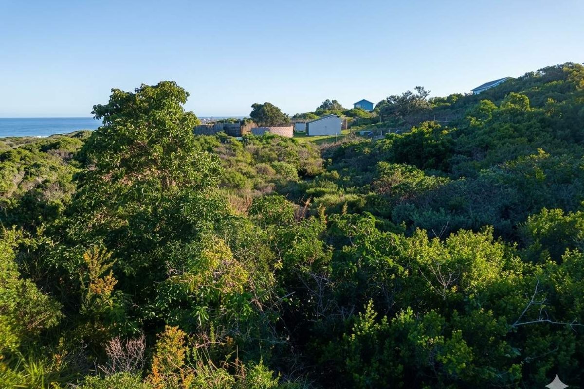 An aerial view of a vacant residential plot featuring dense coastal vegetation and natural terrain with distant ocean views.