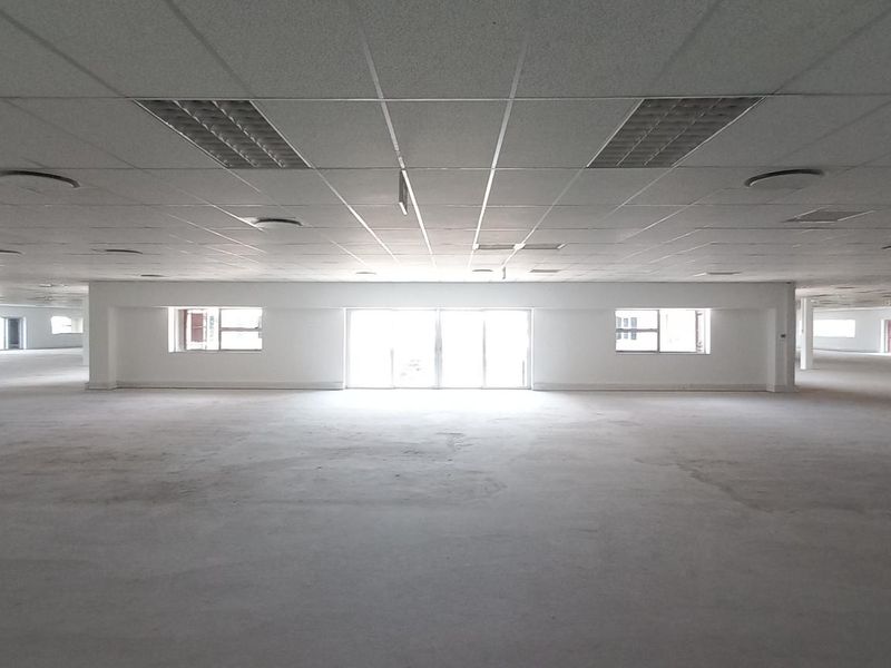 A large, open-plan office space featuring a suspended ceiling with recessed lighting, structural support columns, and expansive windows providing natural light.