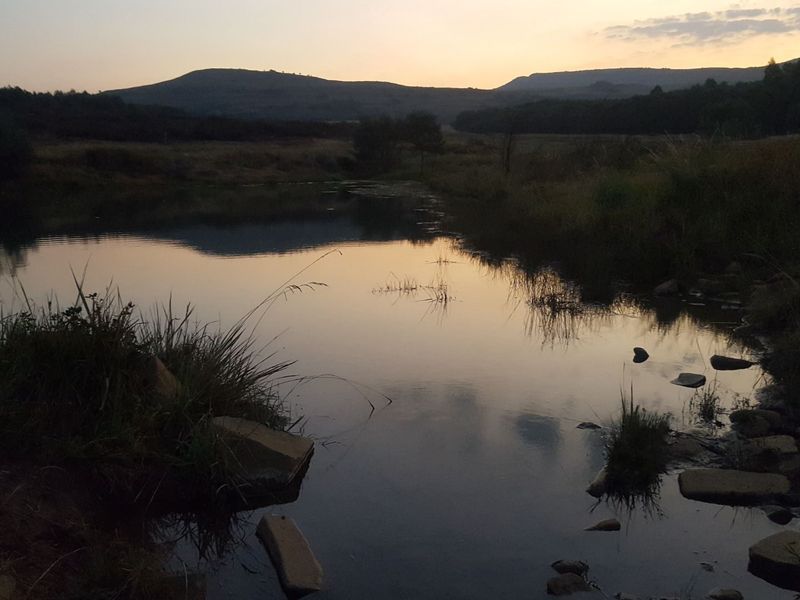 Farm for Sale - Photo 2