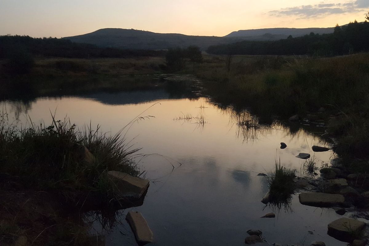 Farm for Sale - Photo 2