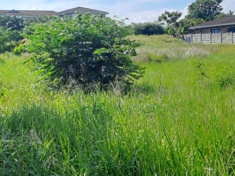 Vacant Residential Land – Birdswood, Richards Bay - Photo 4