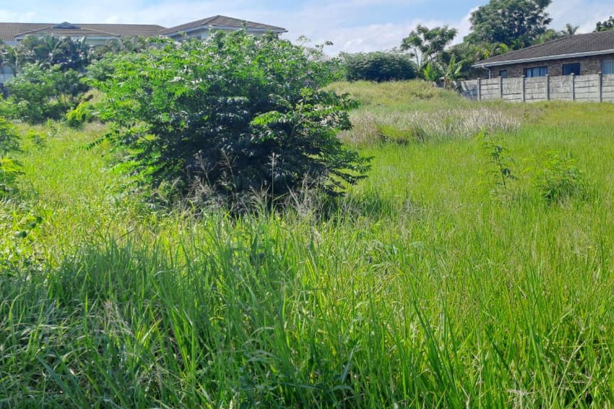Vacant Residential Land – Birdswood, Richards Bay - Photo 4