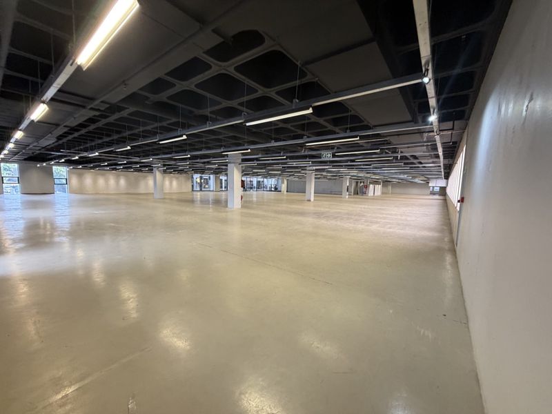 Expansive open-plan industrial space featuring polished concrete floors, exposed waffle slab ceilings, and modern linear lighting, suitable for versatile commercial or warehouse use.