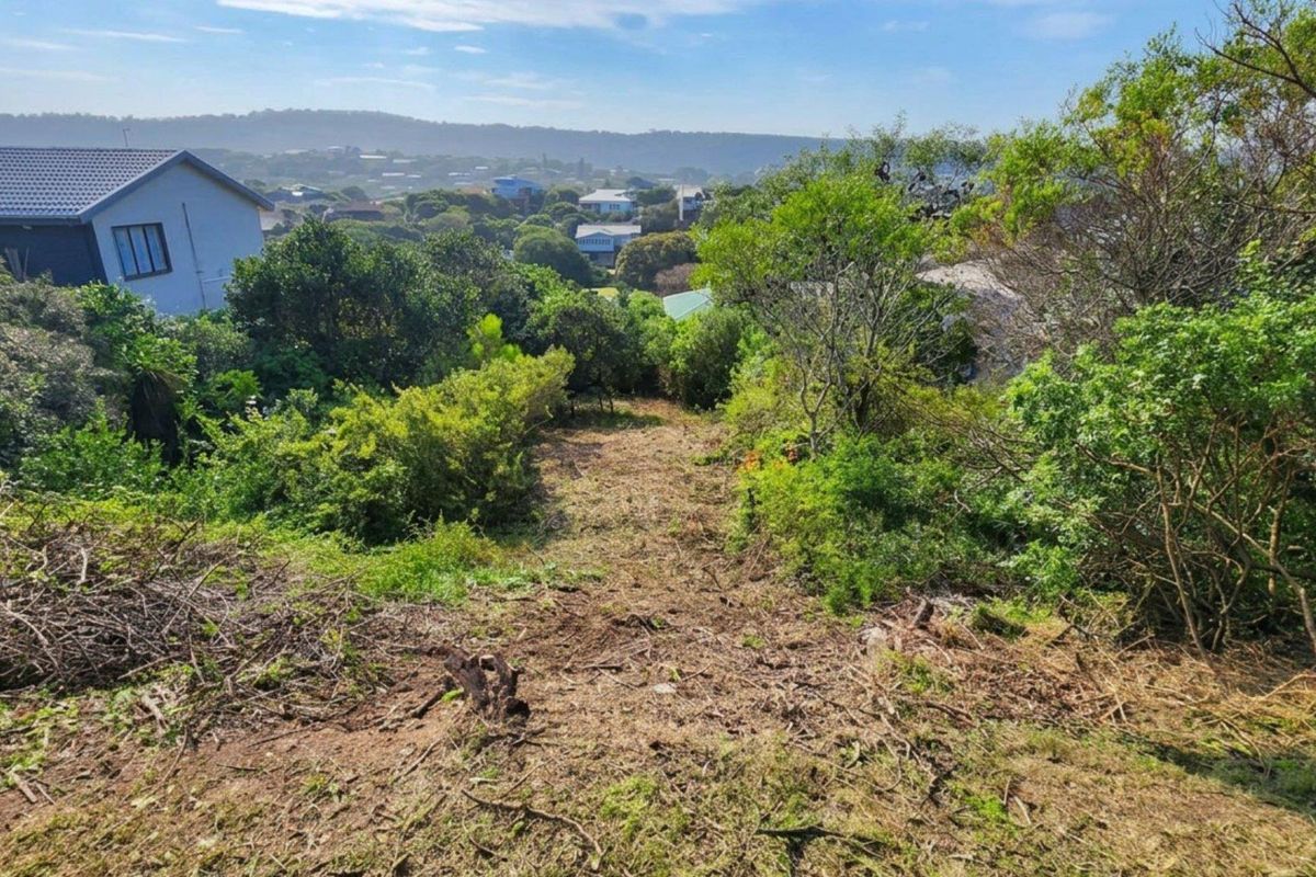 A sloped residential vacant land plot featuring established indigenous vegetation and scenic views of the surrounding neighborhood and distant hills.