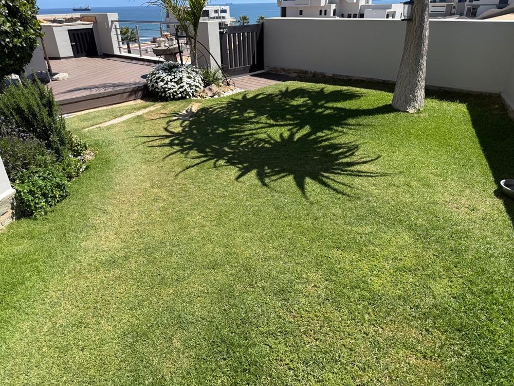 View of the property 