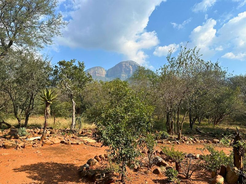 Charming Thatched Home in Canyon Game Reserve - Photo 3