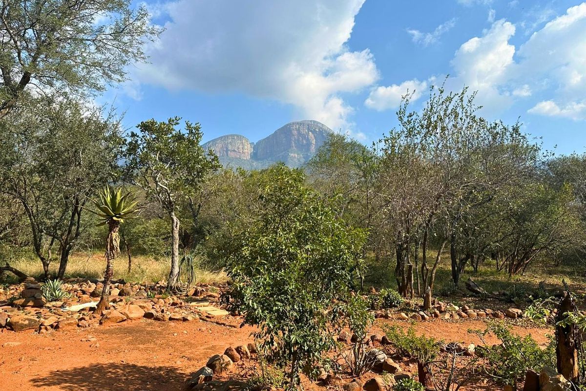 Charming Thatched Home in Canyon Game Reserve - Photo 3