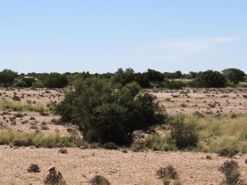 EXQUISITE FARM FOR SALE IN THE SOUTH OF NAMIBIA - Photo 7