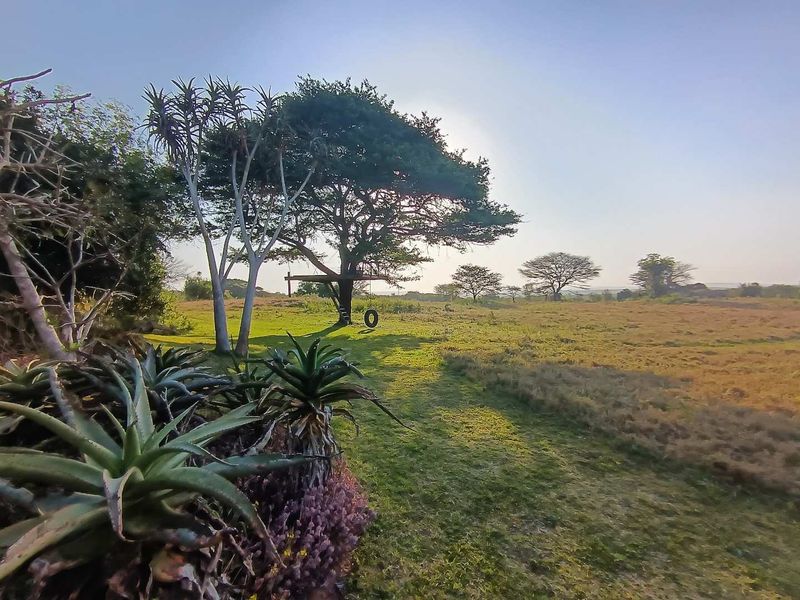 An Extraordinary 20-Hectare Private Bush Estate | 6 Bedrooms | Two Luxury Homes | Kuleni Game Reserve - Photo 4