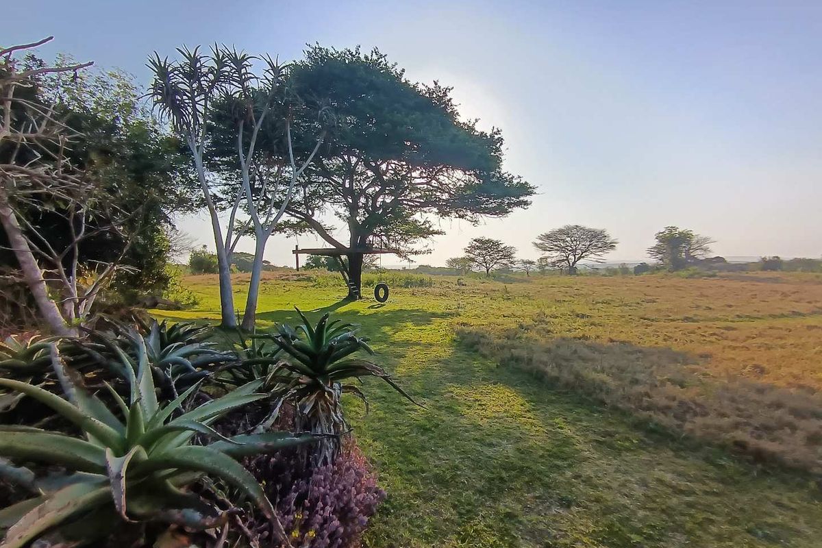 A scenic view of the expansive farm garden featuring mature trees and established indigenous succulents under a clear sky.