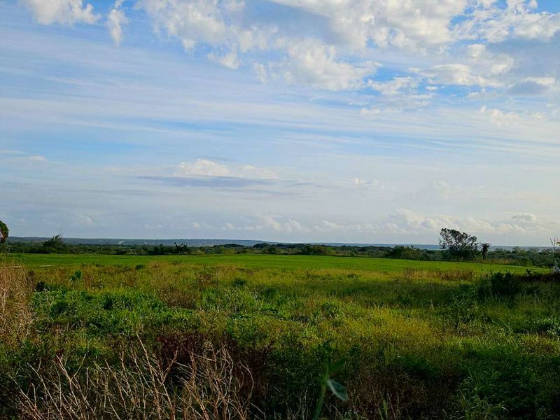 Sundays Riverfront Vacant Plot for sale - Photo 4