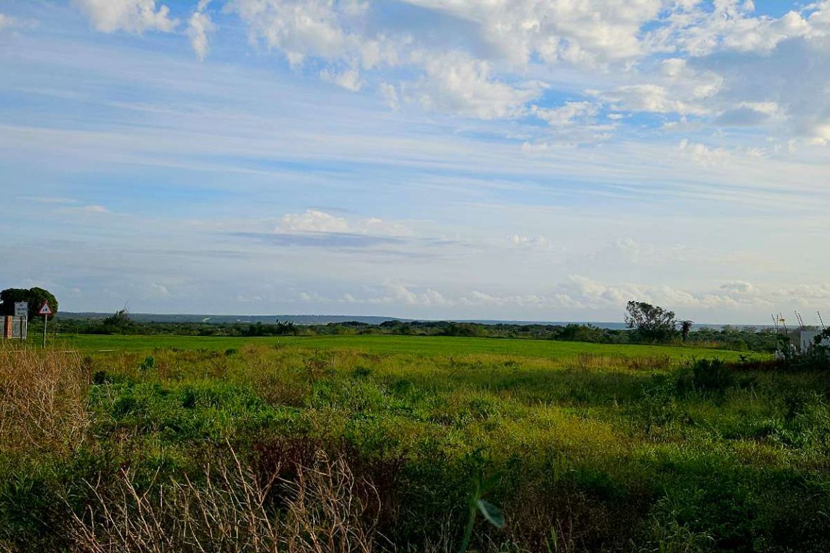 Sundays Riverfront Vacant Plot for sale - Photo 4