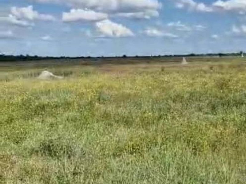 Farm For Sale - Photo 4