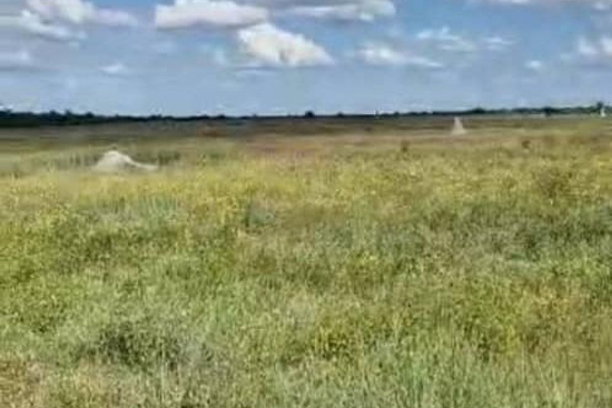 Farm For Sale - Photo 4