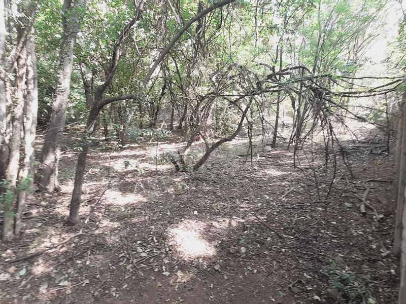 Craft Your Vision on Hartbeespoort's Exclusive Waterfront! - Photo 8