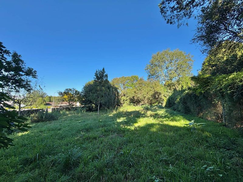 Prime Opportunity on Howick’s Main Artery - Photo 4