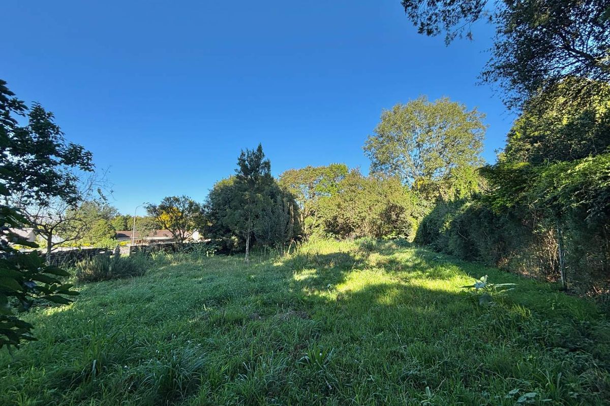 Prime Opportunity on Howick’s Main Artery - Photo 4