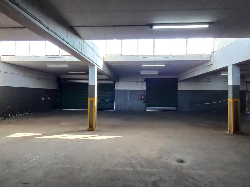 Spacious industrial warehouse featuring high ceilings, concrete flooring, multiple roller shutter doors, and integrated fluorescent lighting throughout the open-plan workspace.