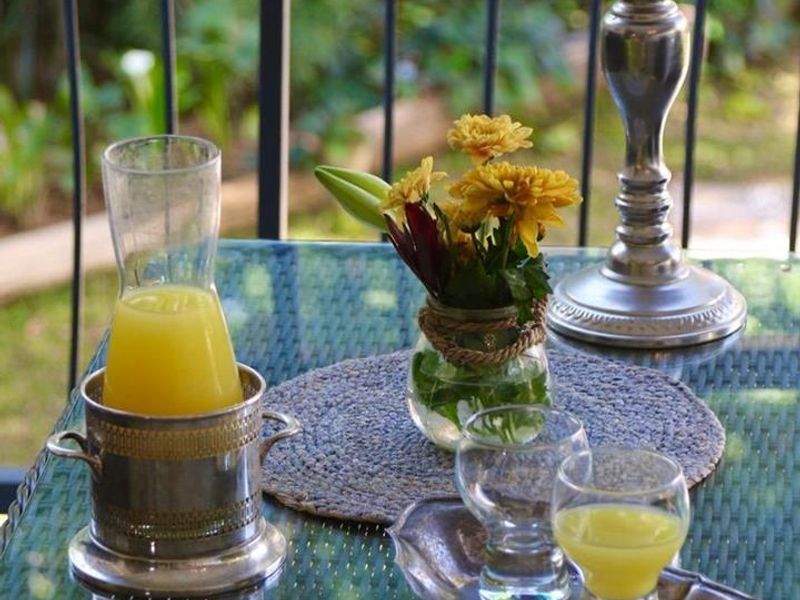 A close-up view of a balcony area featuring a metal balustrade overlooking a garden setting.