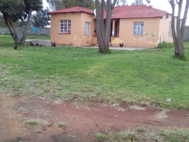 4.3-HECTARE PLOT FOR SALE IN PUTFONTEIN - Photo 4