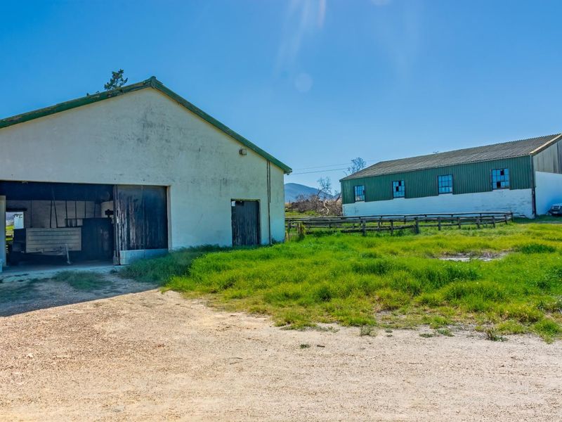 Crop Farm with Registered Irrigation Rights - Photo 6