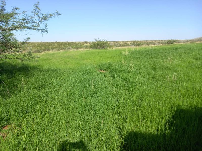 Farm For Sale - Photo 7