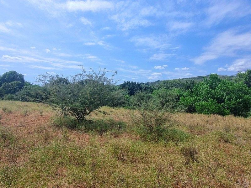 Vacant Stand in Elephant Rock Eco Estate - Photo 4