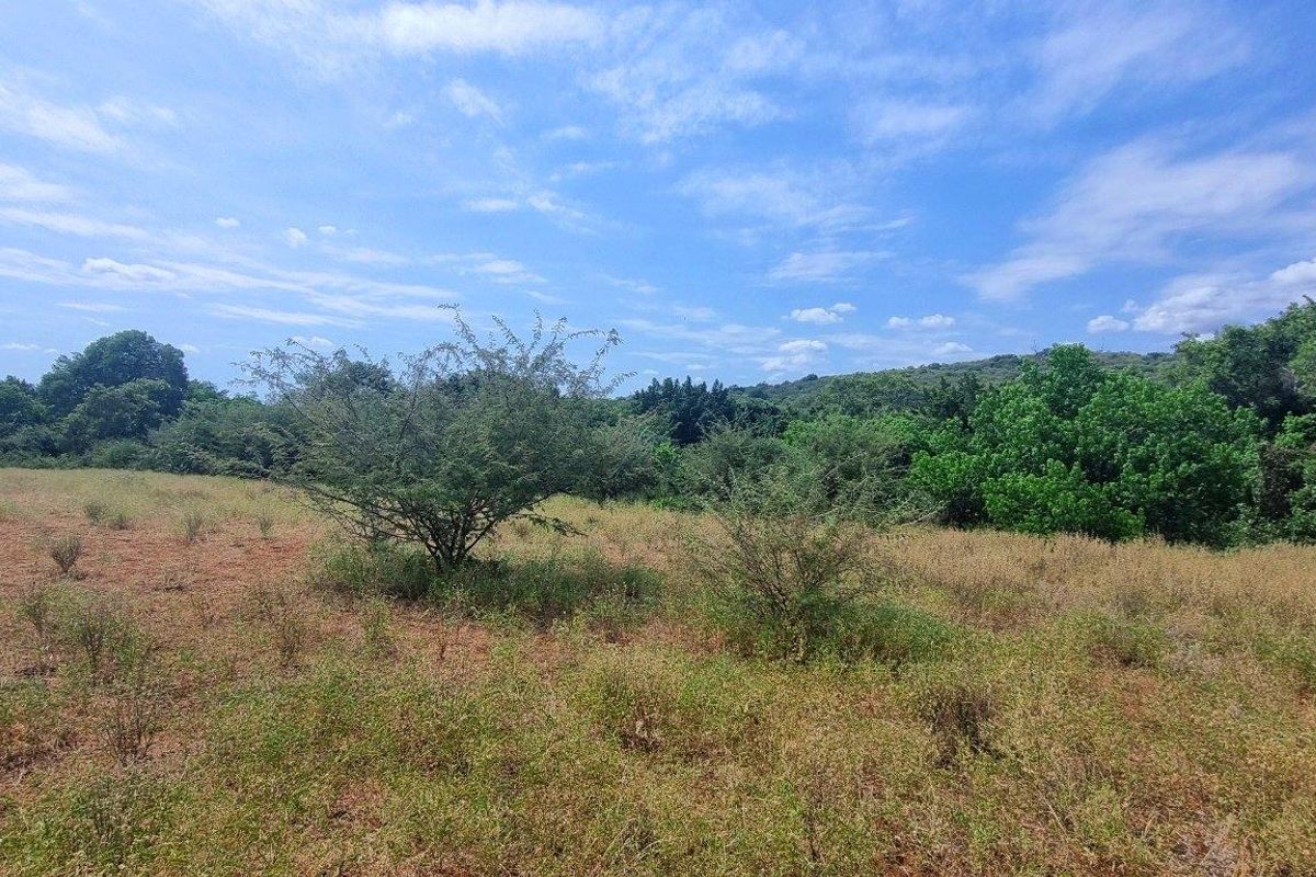Vacant Stand in Elephant Rock Eco Estate - Photo 4