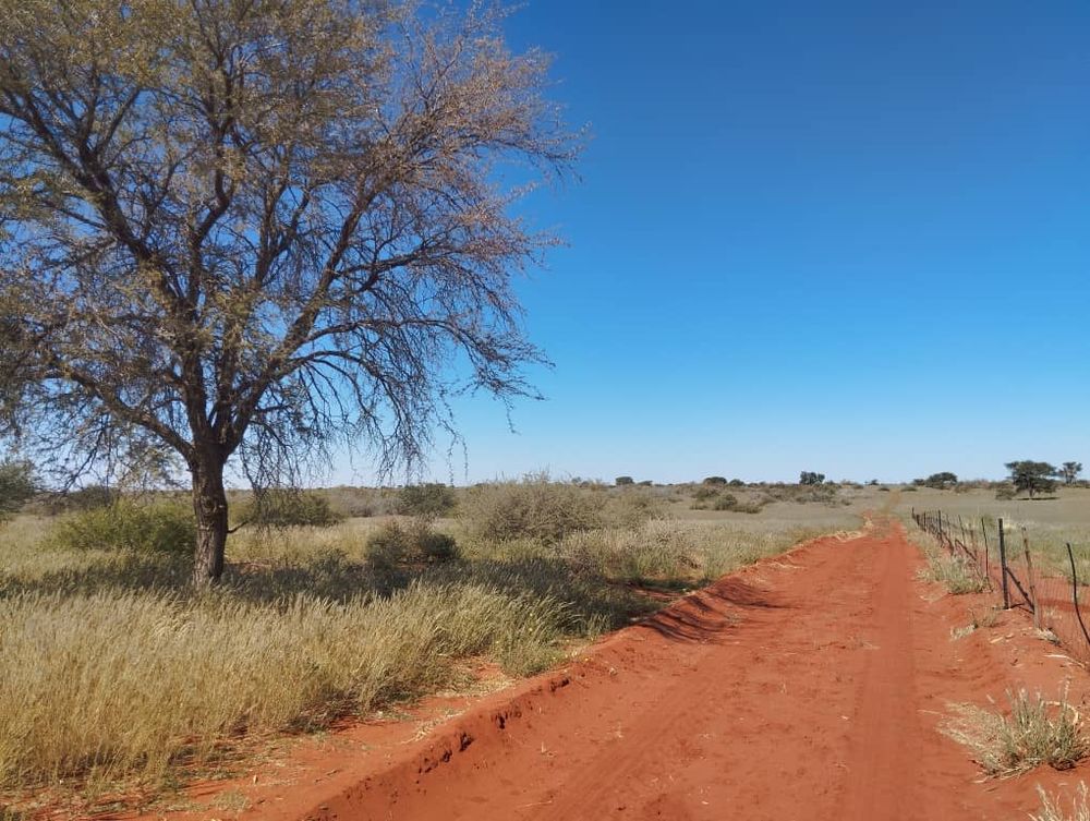 overview of farm land