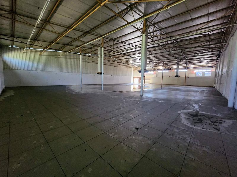 Massive 1,350 m2 Open-Plan Warehouse / Showroom on Steve Biko Road - Photo 5