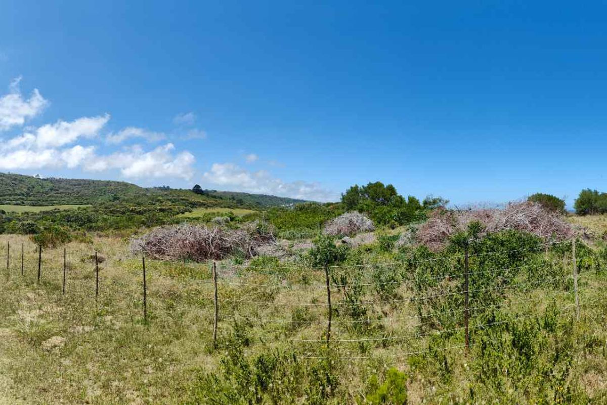 Development land for sale - Photo 5