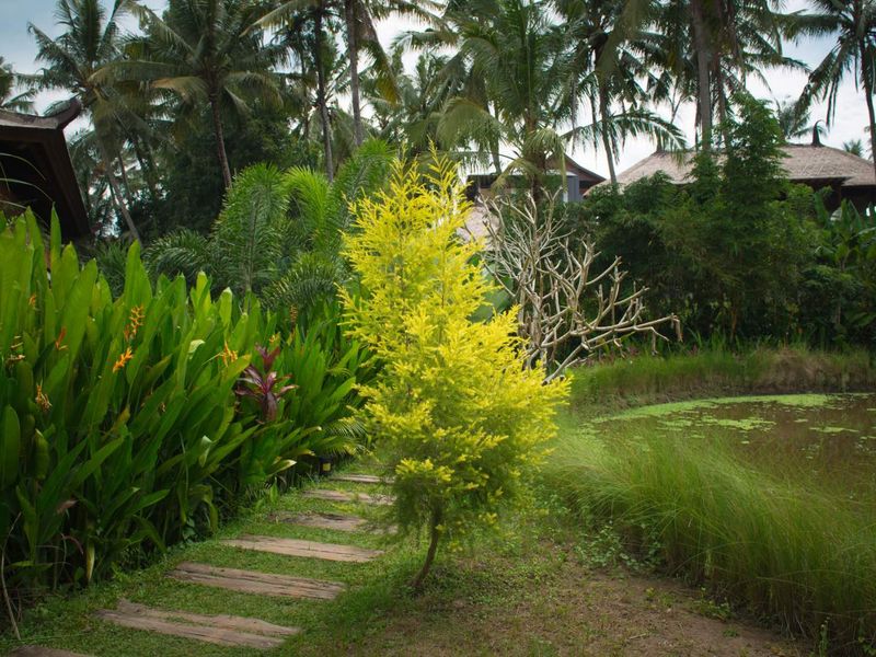 THE HOMEOWNER DIFFERENCE - Photo 10