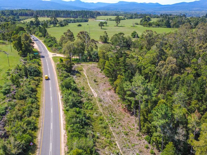 177-Hectare Riverfront Property Near Knysna - Photo 8