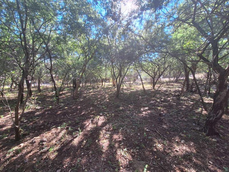 Escape to Leeupoort - Natures Sanctuary Near Pretoria - Photo 9