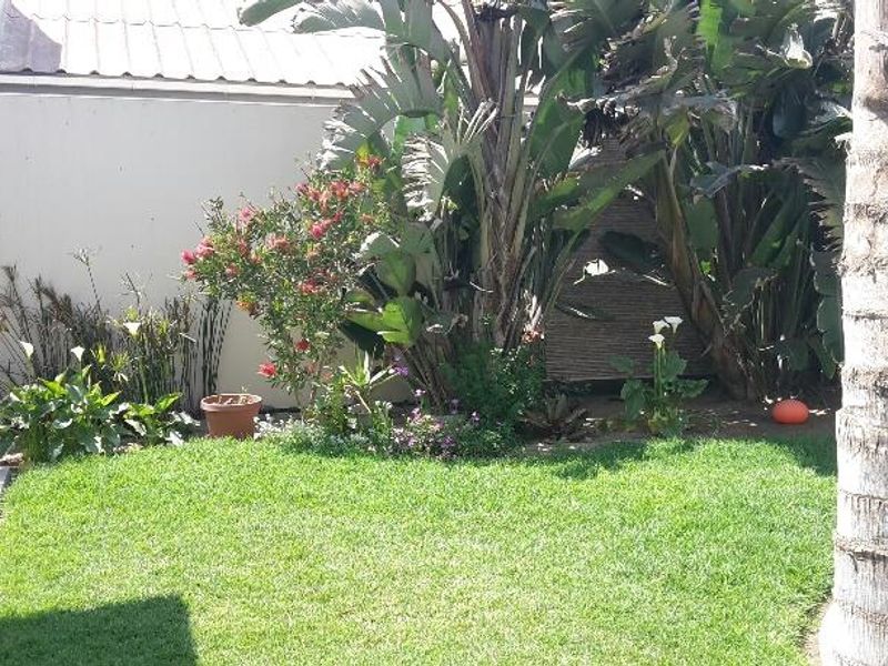 CLASSIC CLIMATE – HOUSE AVAILABLE TO RENT - Photo 2