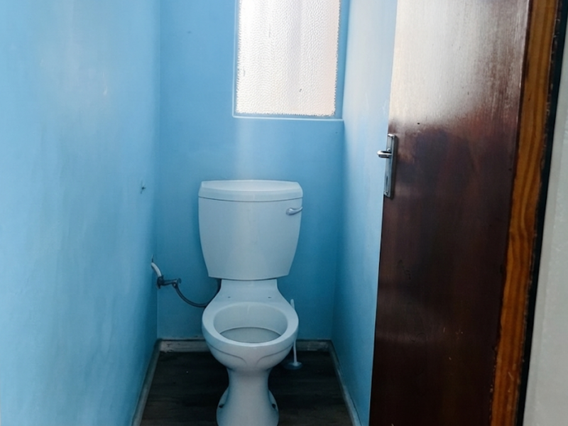 A small, functional guest toilet featuring blue painted walls, a standard white toilet suite, and a timber door.