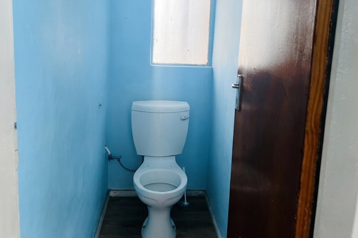 A small, functional guest toilet featuring blue painted walls, a standard white toilet suite, and a timber door.