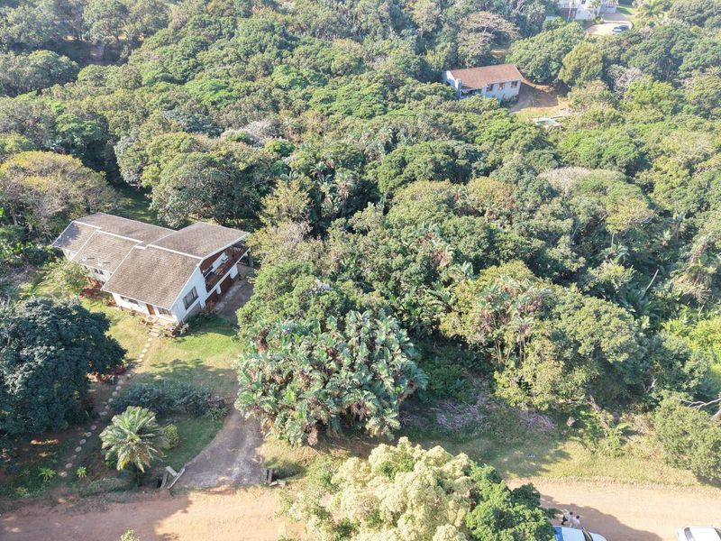 An aerial view of a residential property surrounded by dense, mature vegetation and trees, featuring a driveway and a pitched roof dwelling.