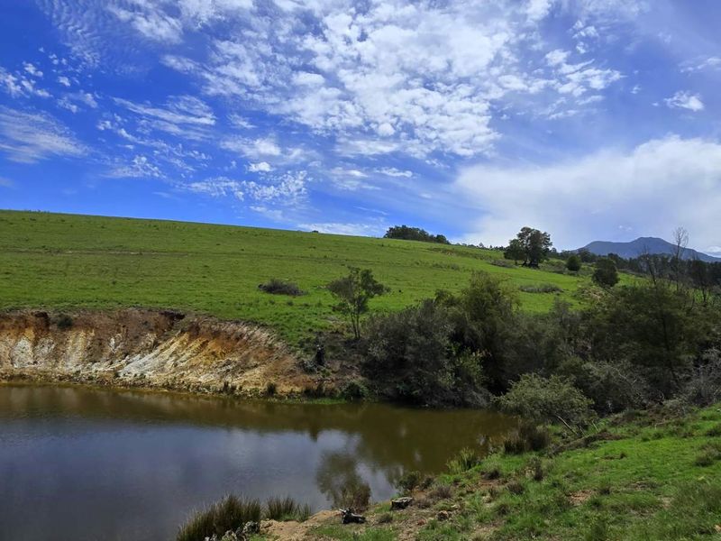 Spectacular Agricultural Opportunity in Ruiterbosch - Photo 7