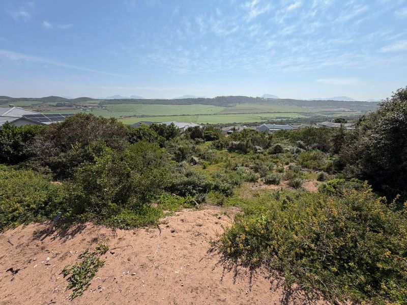 A scenic view overlooking a natural, undeveloped residential plot with native vegetation and distant mountain landscape.