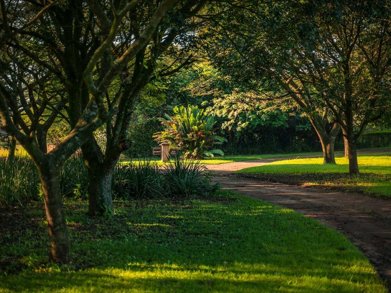 Spacious Modern Country Living in the Heart of KZN - Photo 5