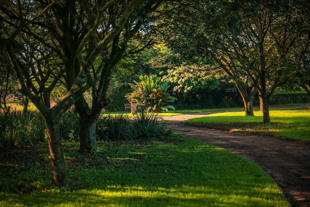 Spacious Modern Country Living in the Heart of KZN - Photo 5