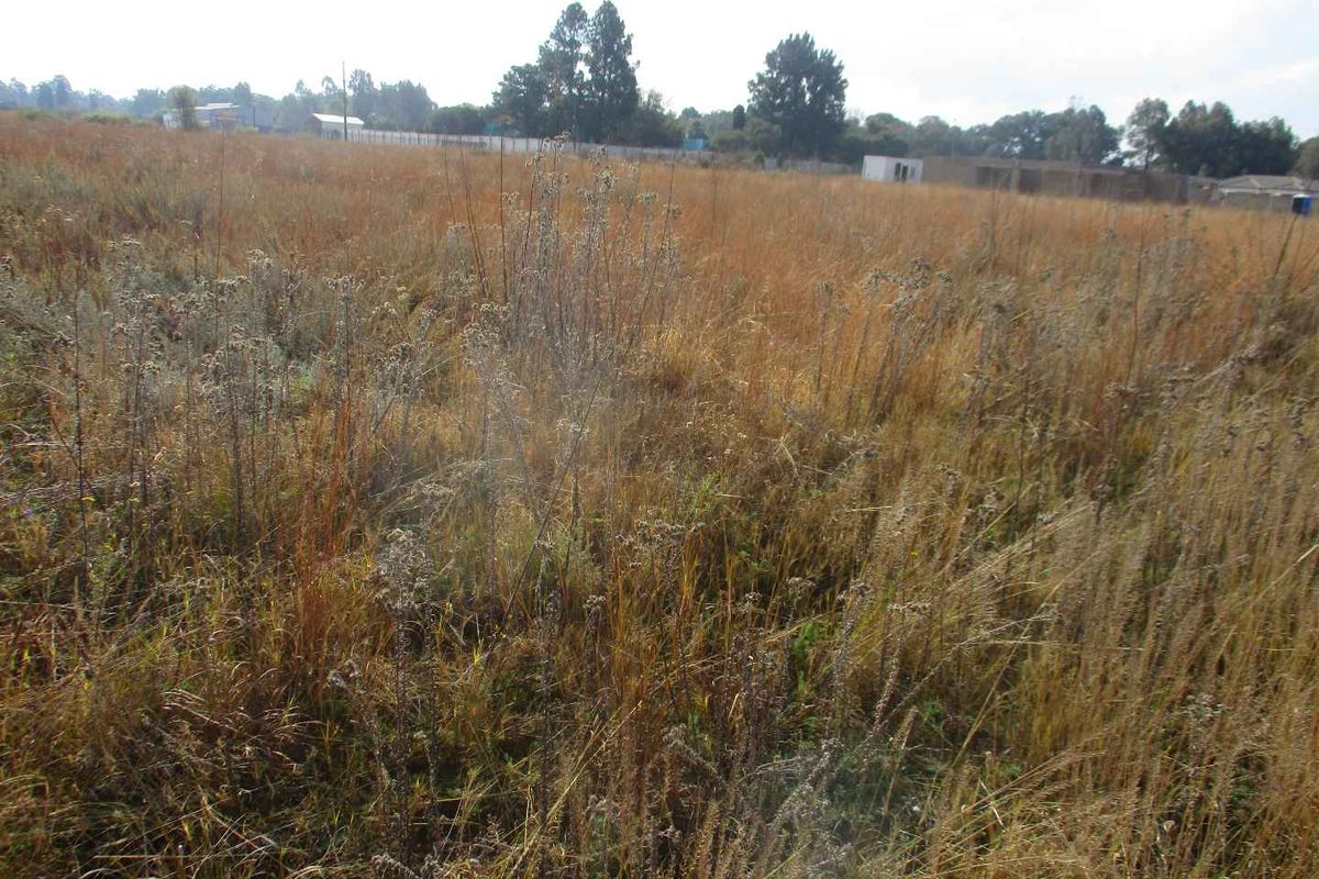 A view of a vacant residential plot covered in dry grass, featuring perimeter fencing in the background.