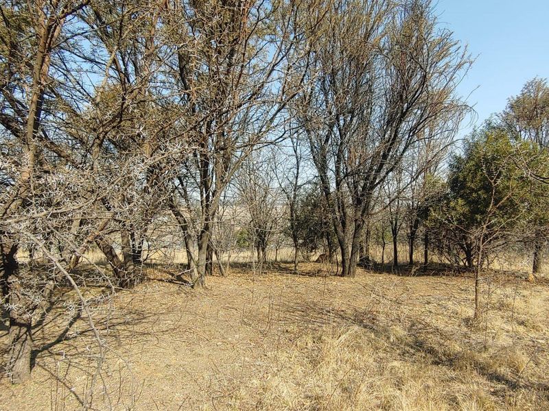 A view of the natural landscape featuring mature trees and dry vegetation on the agricultural land.